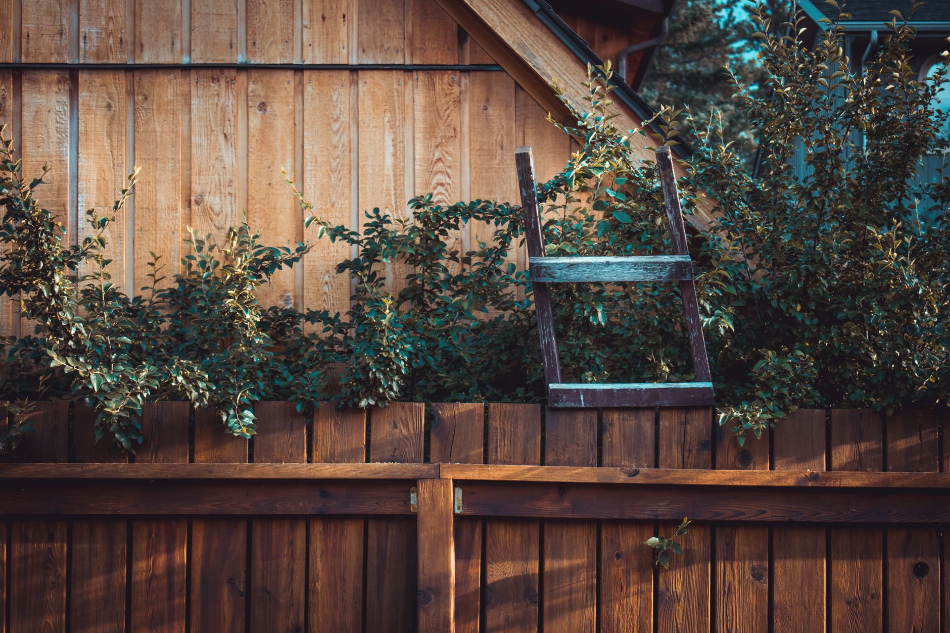 Wooden fence with a ladder and green plants, evoking rustic charm and natural beauty in Edmond, OK